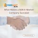 What Makes a B2B E-Market Company Succeed