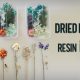 Dried Flowers for Resin art