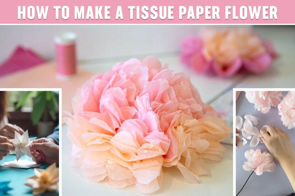 How to Make a Tissue Paper Flower